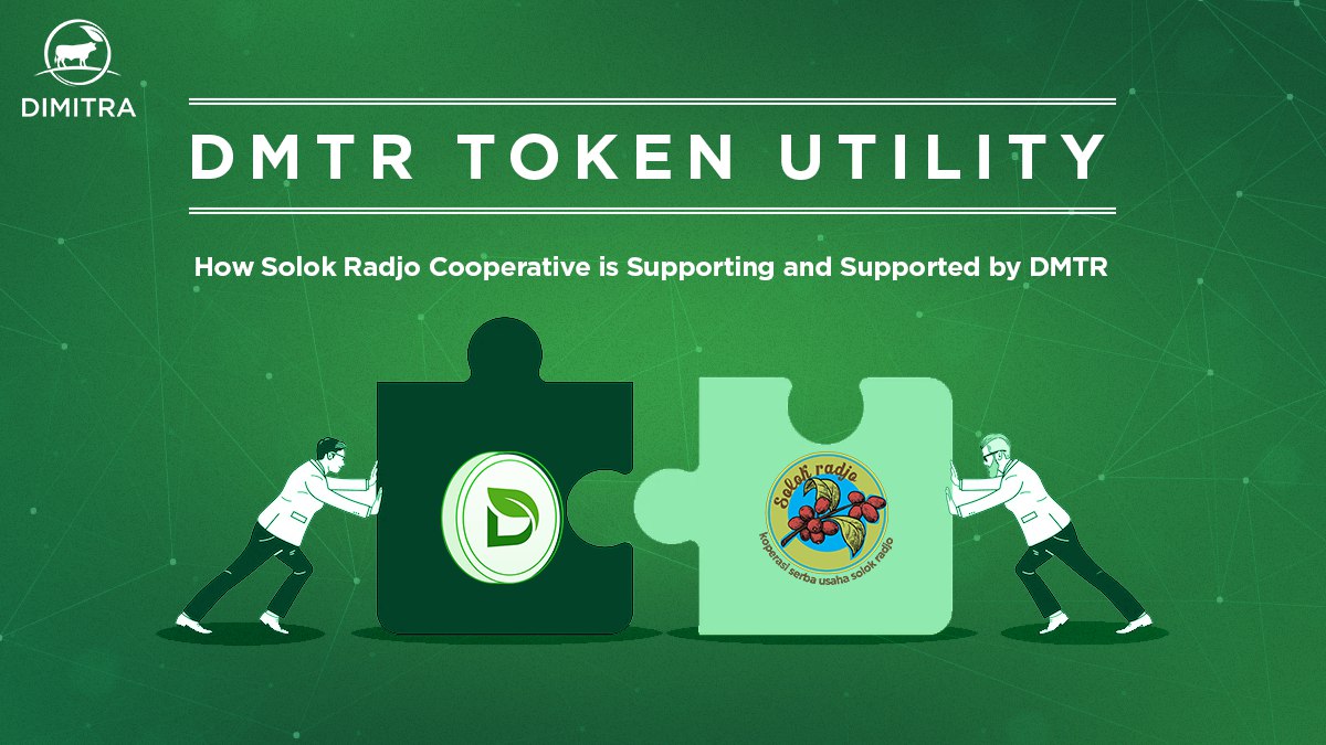DMTR Token Utility