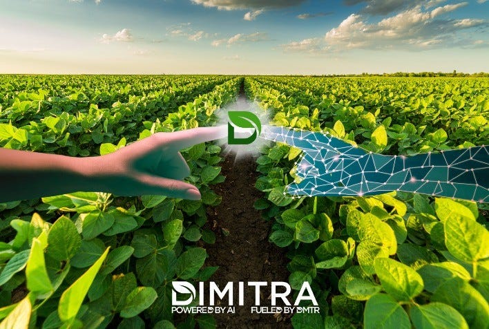 Partnership between ABRAFRUTAS and Dimitra yields positive results for the fruit sector in Brazil