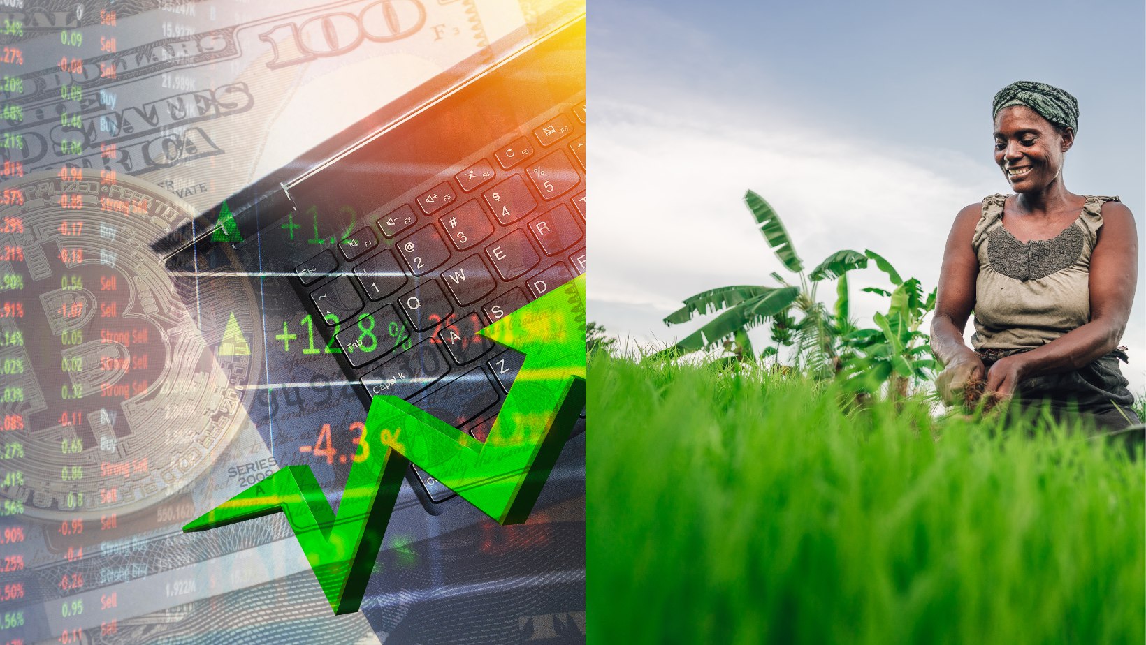 How Crypto Can Help Africa’s Farmers Reap Bigger Yields
