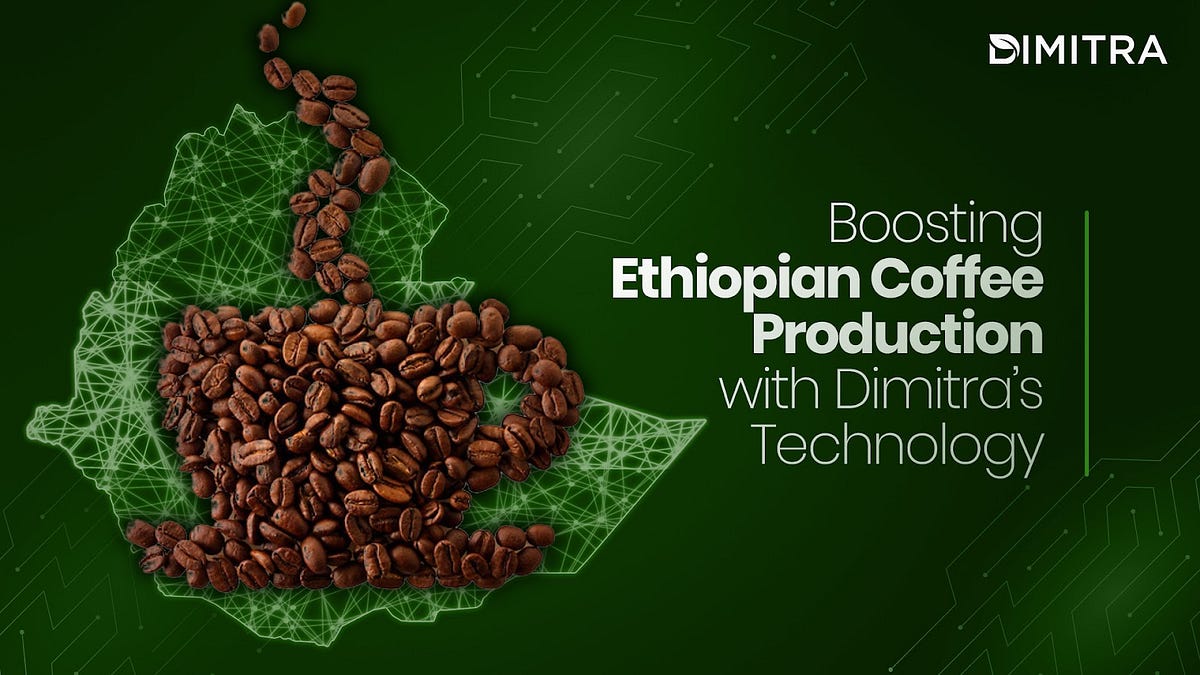 Boosting Ethiopian Coffee Production with Dimitra’s Technology