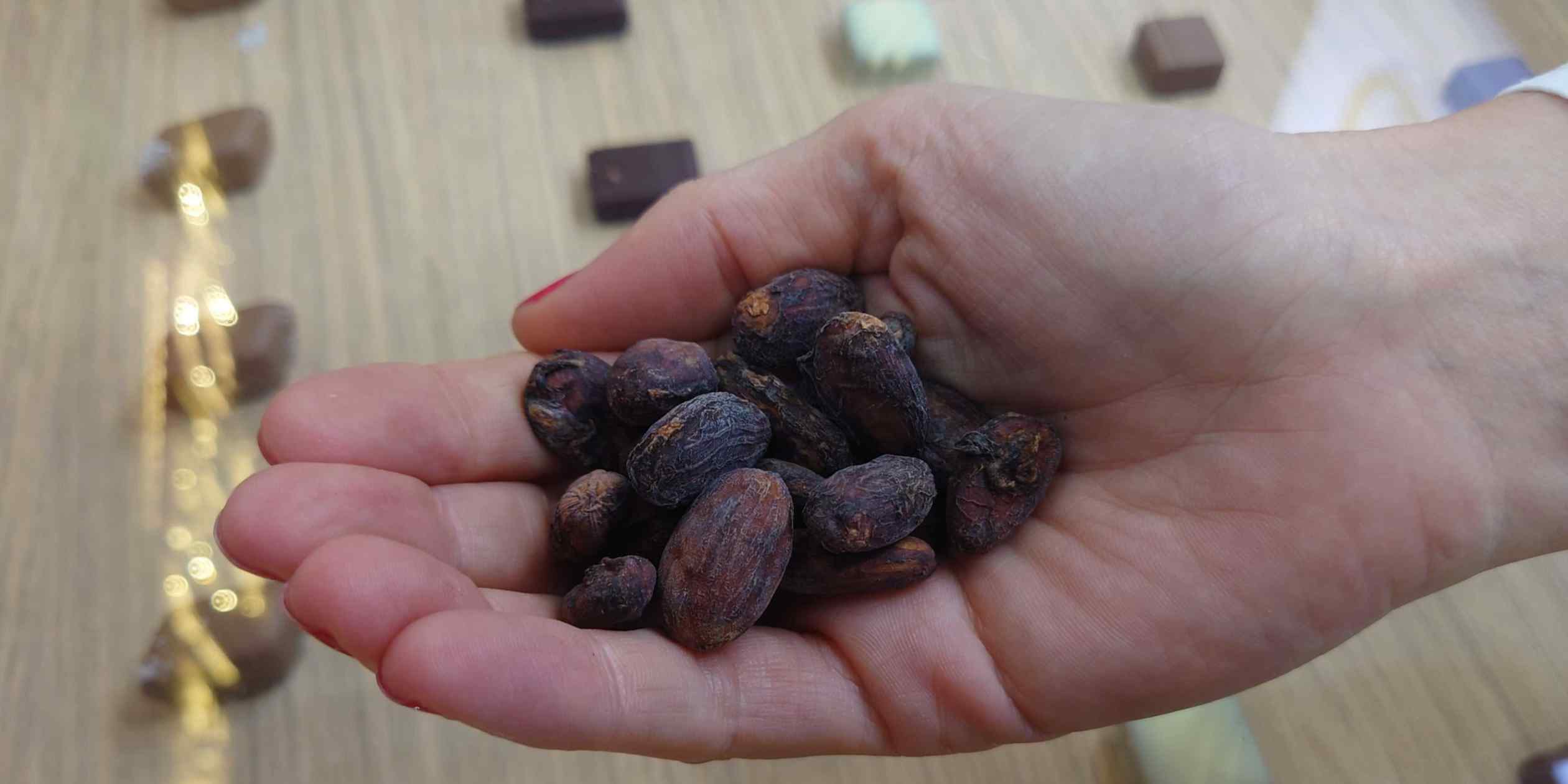 EUDR Deadline Nears: Dimitra and PT Surveyor Indonesia Deploy AI and Blockchain to Onboard 3 Million Indonesian Coffee and Cocoa Farmers
