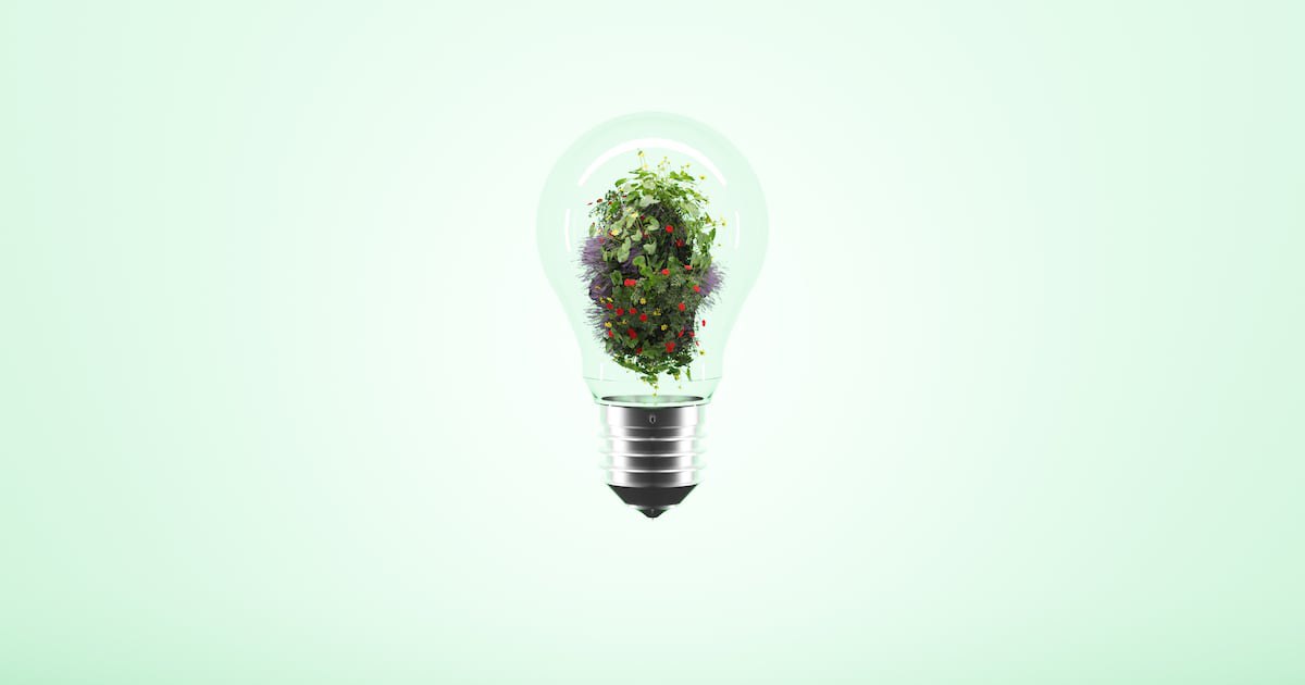 EU Commission’s proposed changes to sustainability reporting: Simplification or setback for accountability?